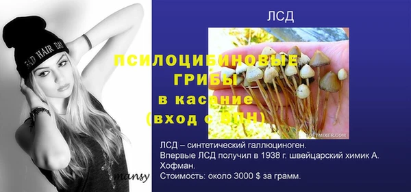 твердый Шарыпово