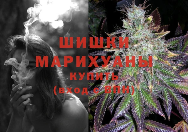 ГАЛЛЮЦИНОГЕННЫЕ ГРИБЫ Узловая
