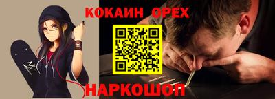 шишки Будённовск