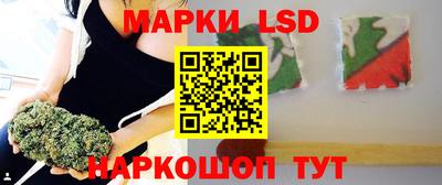 шишки Будённовск