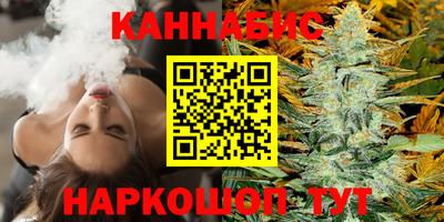шишки Будённовск