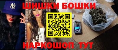 шишки Будённовск