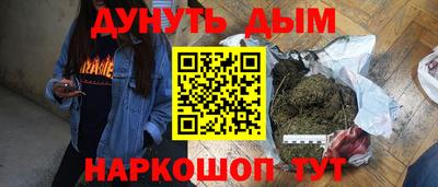 шишки Будённовск